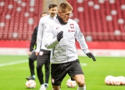 开云体育中国-波兰队宽广团队意识，精彩表演俘获球迷心的简单介绍