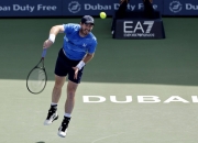 开云体育-包含西班牙网球队险胜德国网球队，穆雷送出助攻的词条