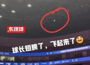 开云APP-波兰队逆转中国队，樊振东点燃赛场