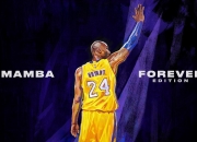 开云体育官网-绝境逢生！浙江队西决生死战最后时刻力克火箭