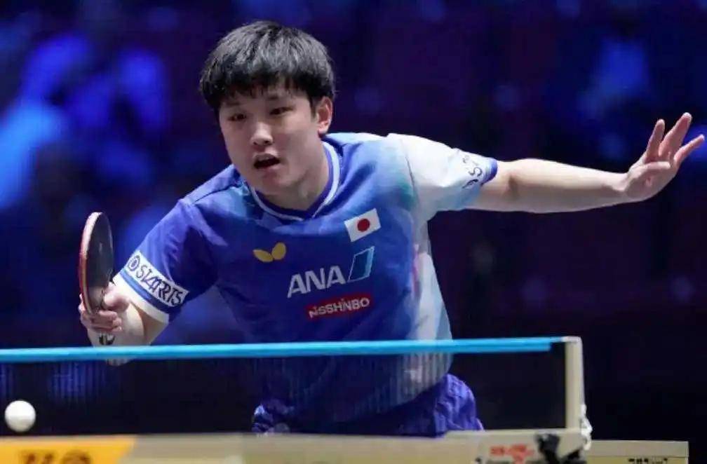 波兰乒乓球队血洗中国乒乓球队，张本智和打破历史纪录的简单介绍