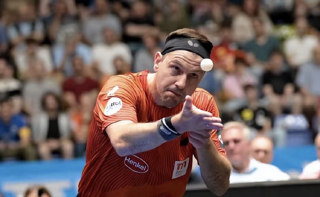 德国乒乓球队碾压瑞典乒乓球队，波尔高光表现的简单介绍