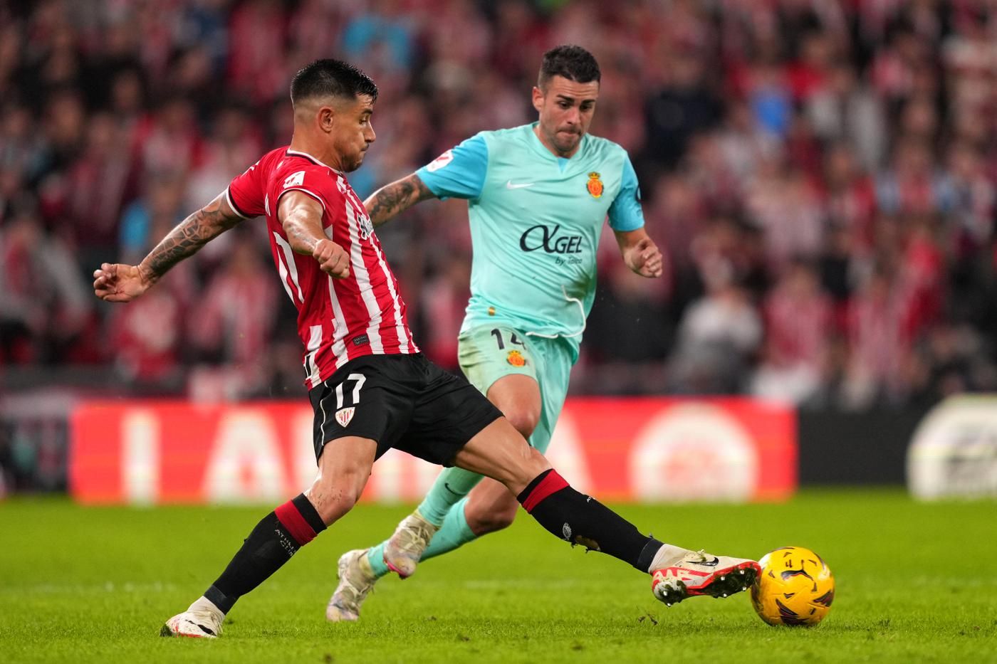 实德欲继续领跑积分榜，迎战河南嘉兴盐城的简单介绍