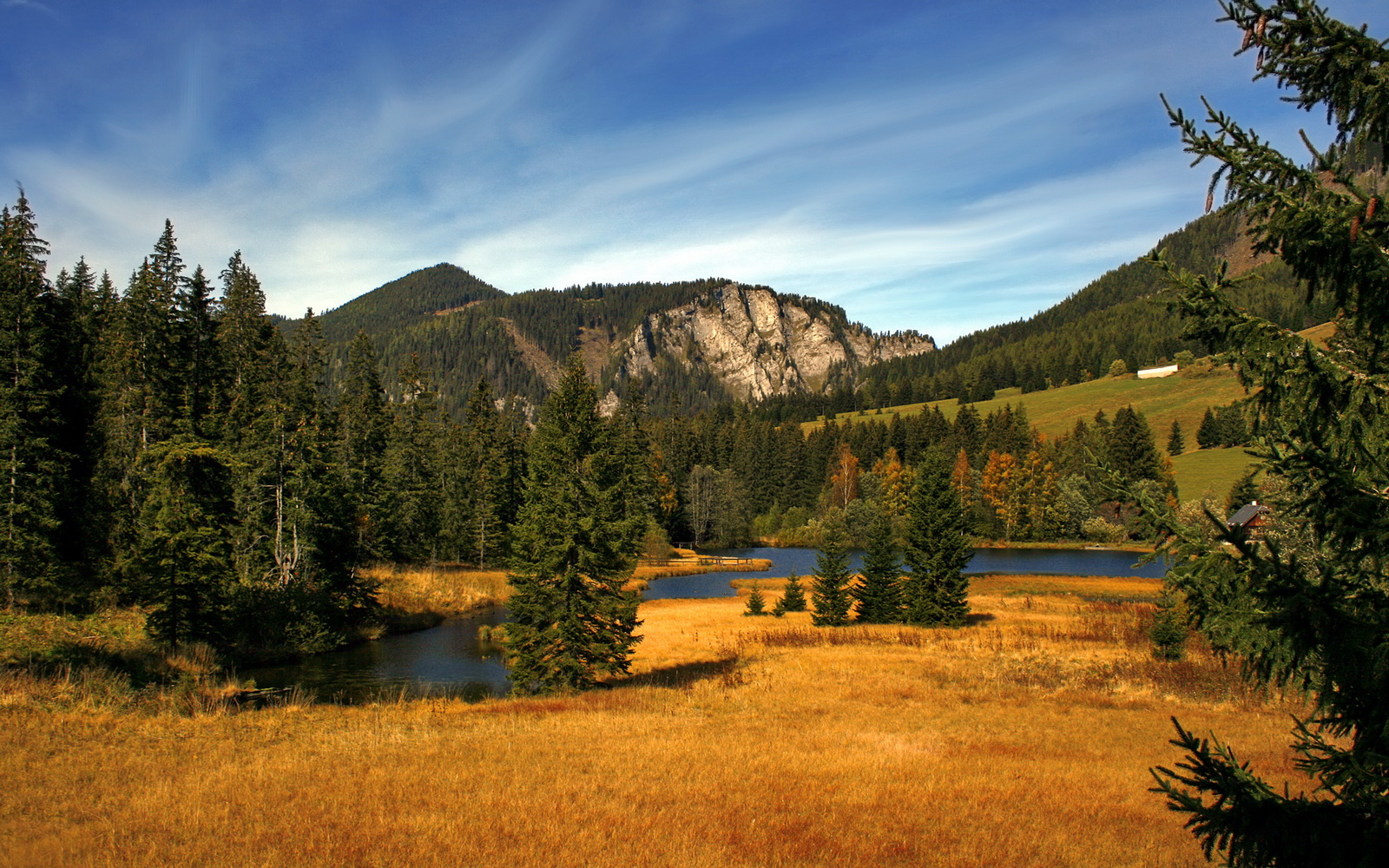 绿军血脉与纽约心跳，乔治的不软时刻如何重写宿命