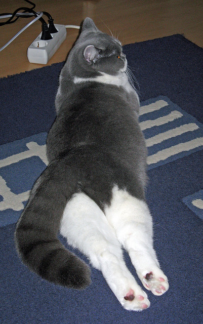 压力淬火，乔治逆境绽放，爵士对阵篮网中的唯一性爆发