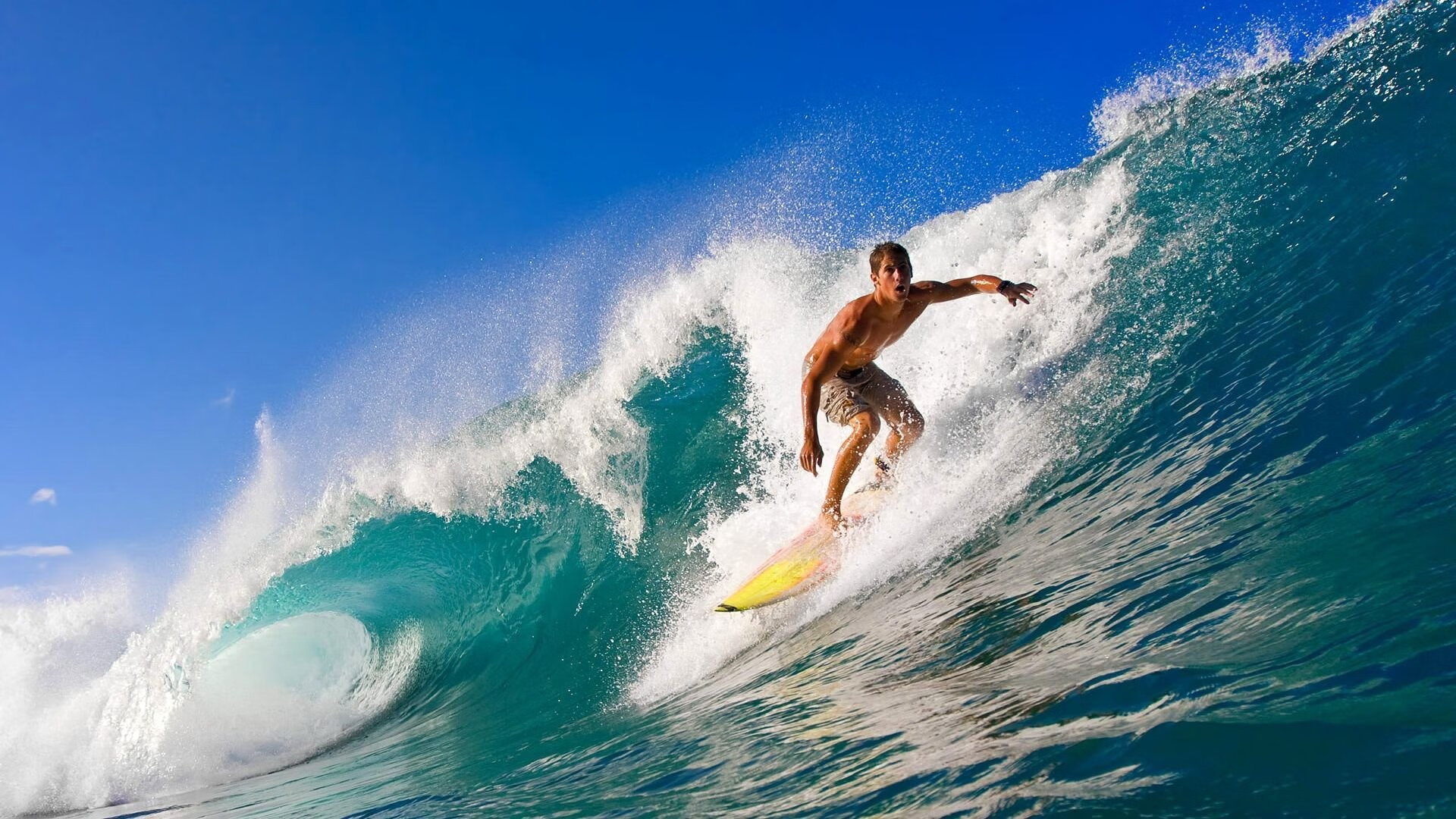 武切维奇之夜,当总决赛的聚光灯只为他一人点亮