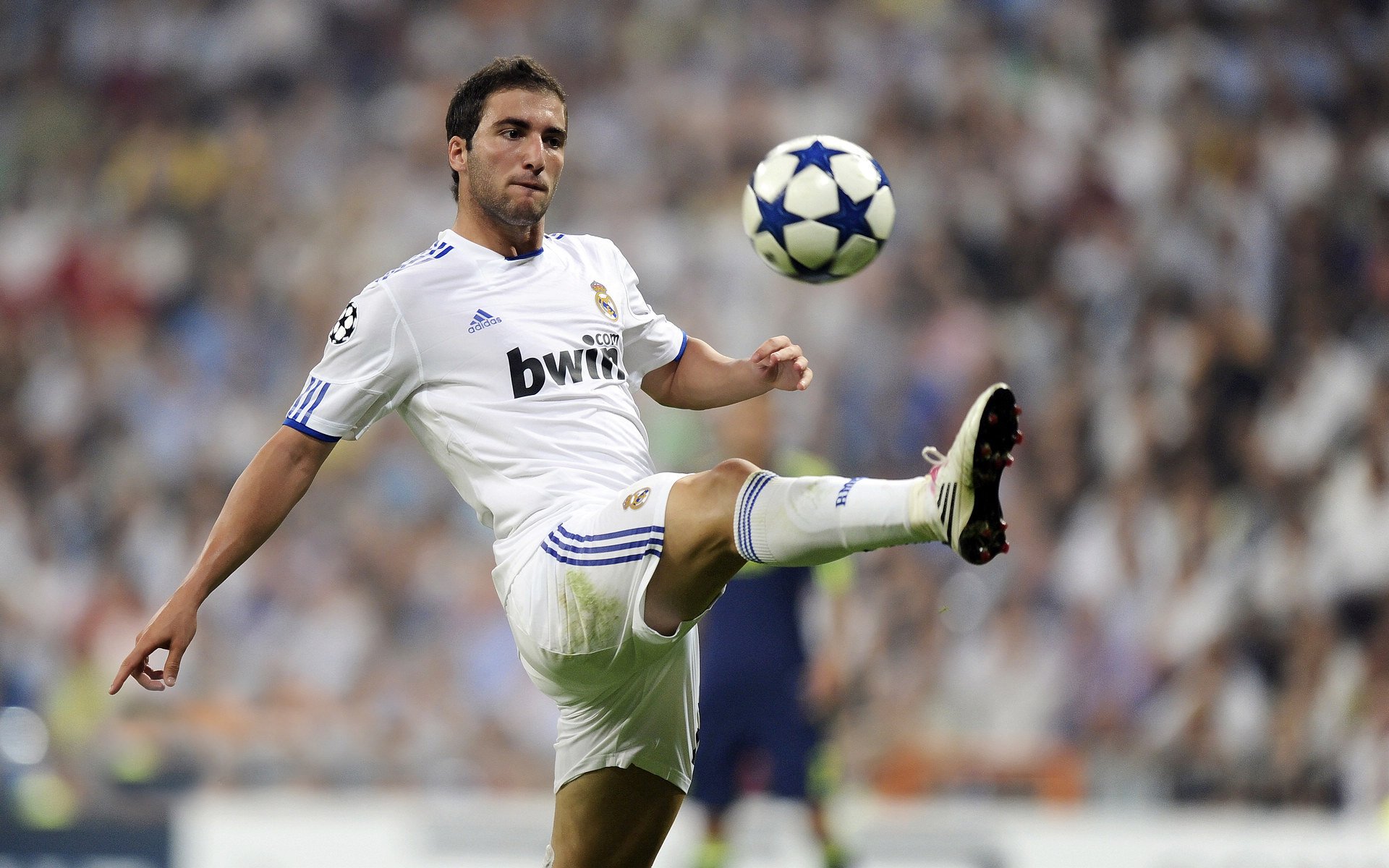 世界杯之夜，卢卡库如何主宰美加墨赛场走向